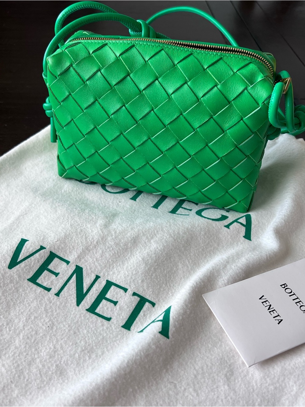 Bottega Veneta Mini Loop in Parakeet Green - Picture 4 of 16